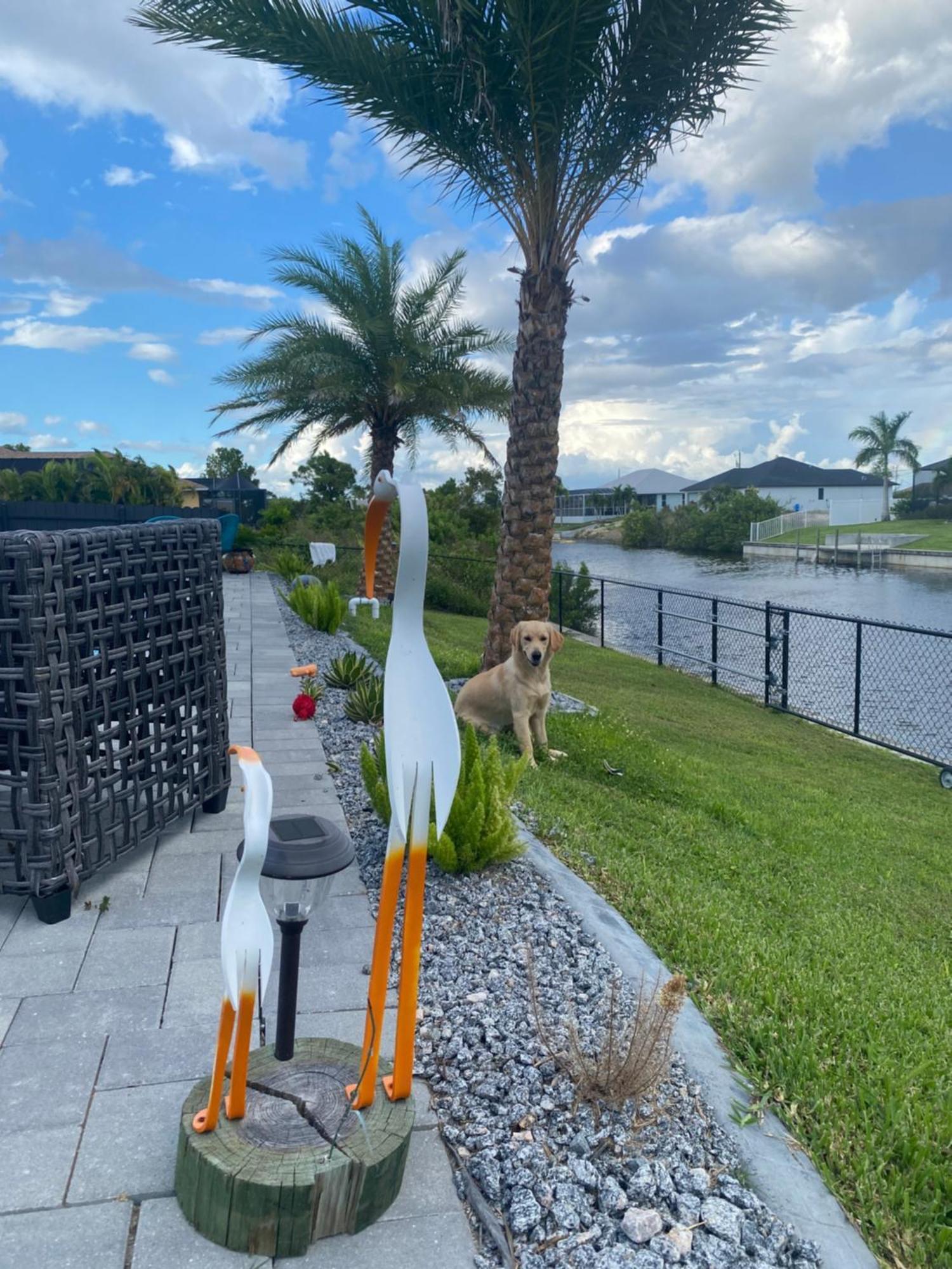 Holiday home Canal Waterfront House-pool-fishing And Game Cape Coral